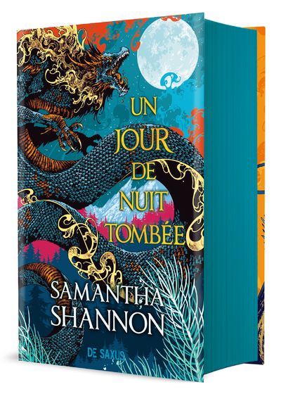 Un jour de nuit tombée (tome 0.5)