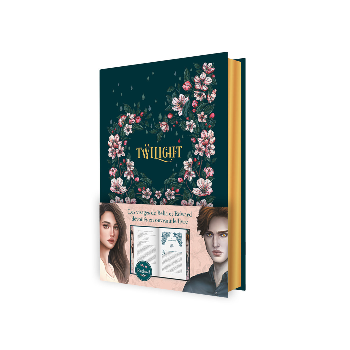 Twilight tome 1 : Édition Collector 20e Anniversaire