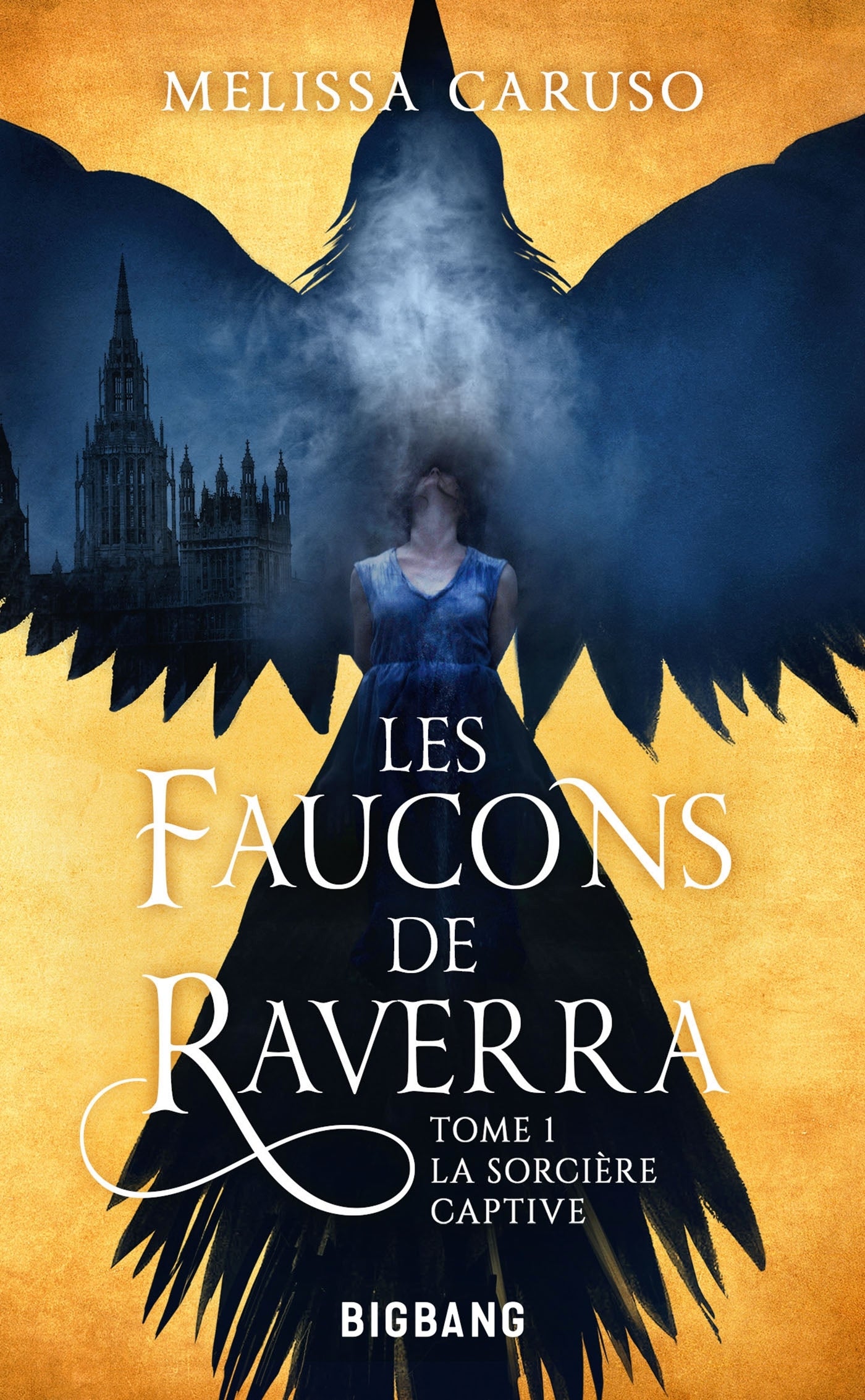 Les Faucons de Raverra, T1 : La Sorcière captive