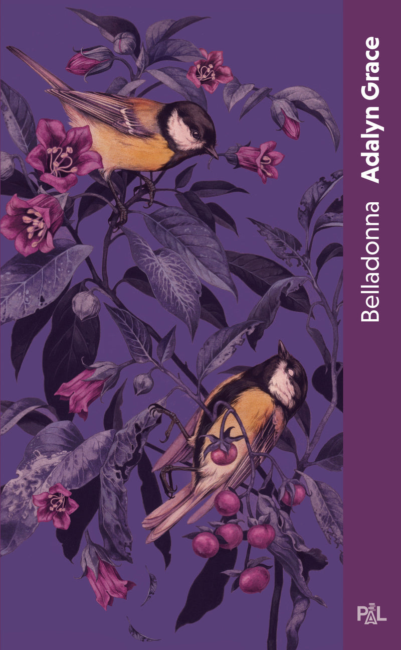 Belladonna - Livre 01 (poche)