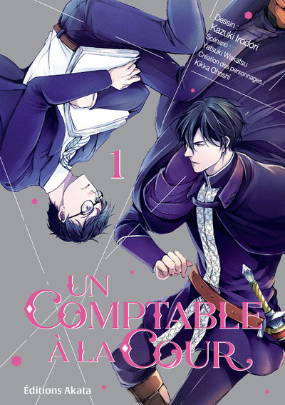 Un comptable à la cour (tome 1)