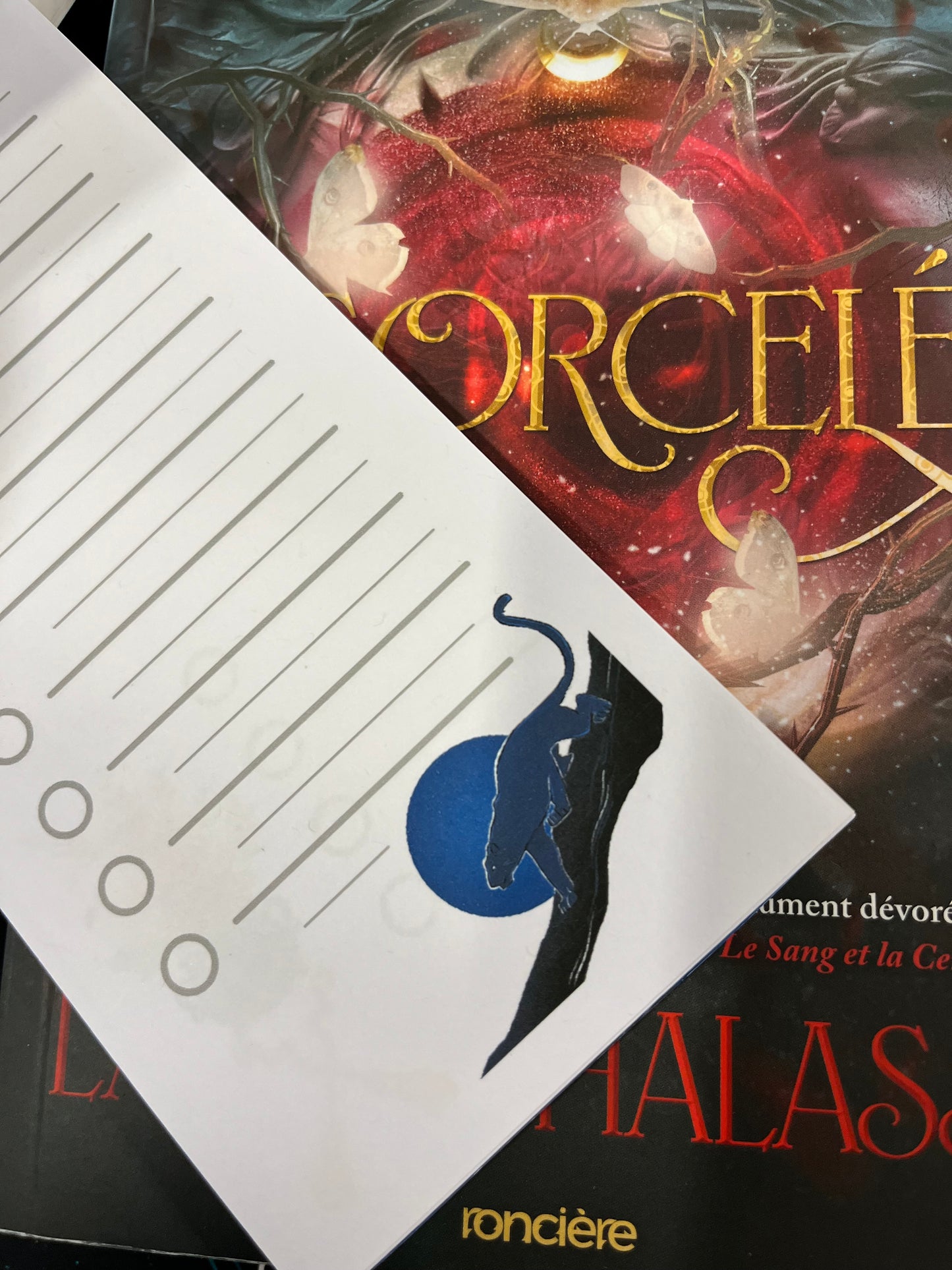 Box « Ensorcelée - Damnatio memoriae » - juin 2024