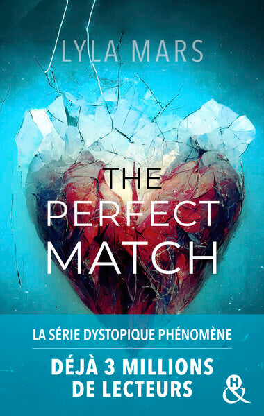 I'm not your soulmate : The perfect match (tome 1)