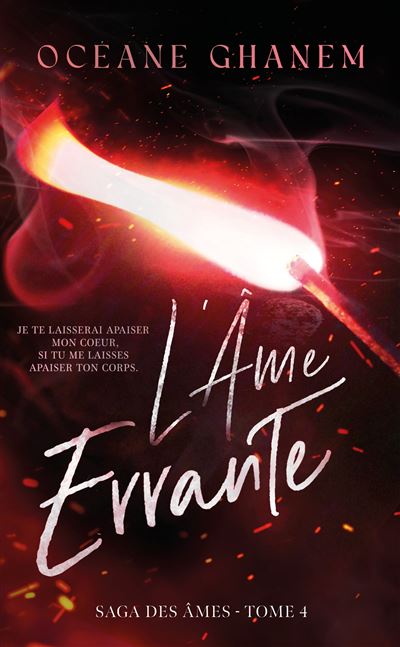 La Saga des âmes : L'âme errante (Tome 4)