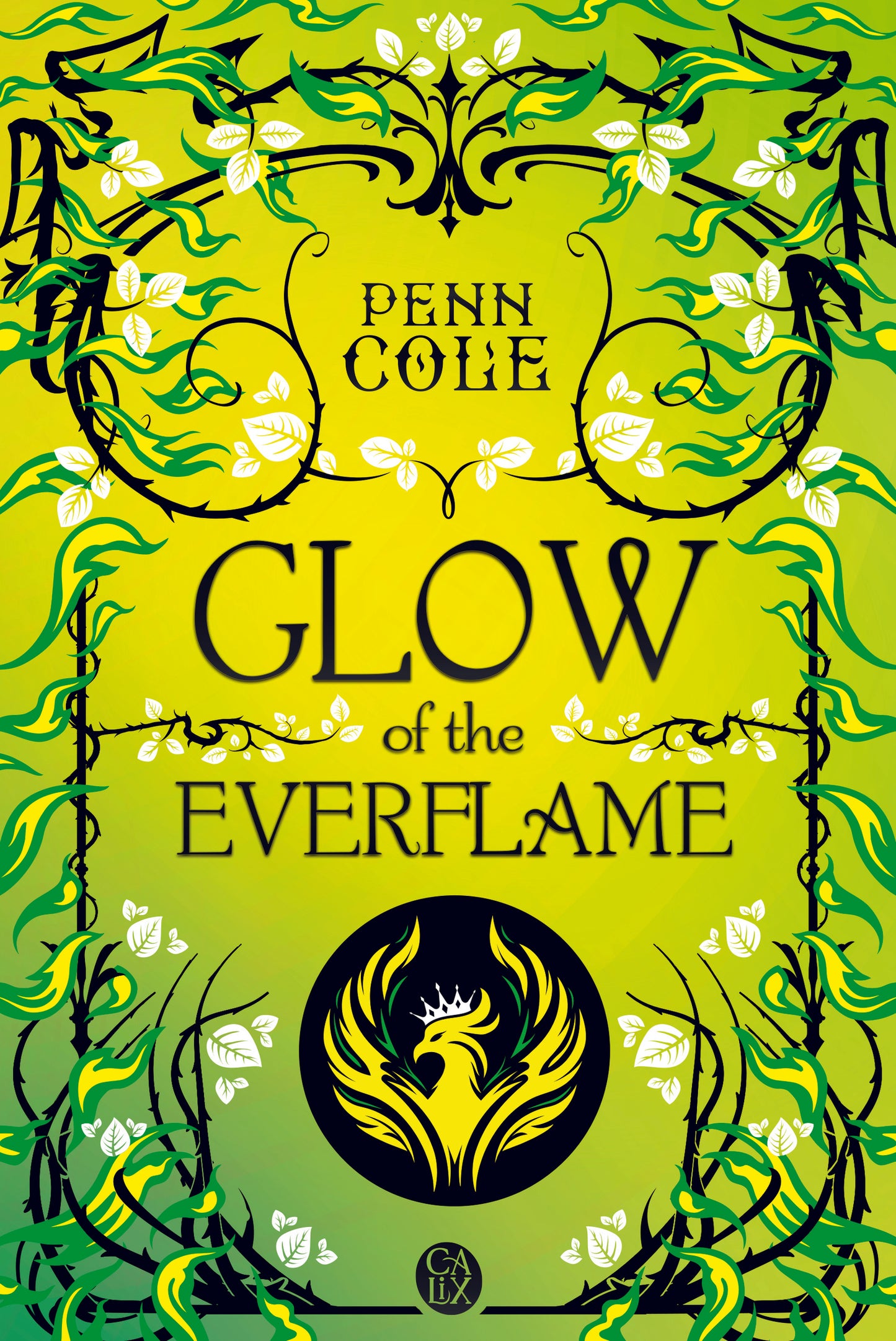Kindred's Curse : Glow of the Everflame (tome 2)
