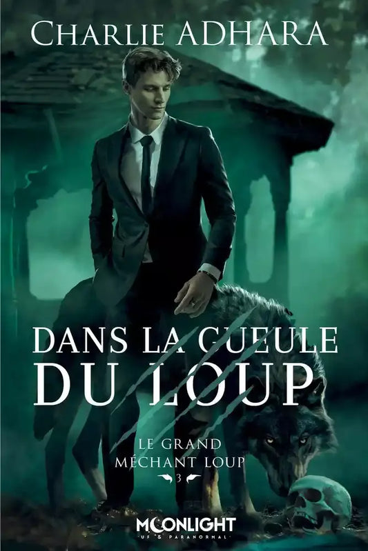 Le grand méchant loup : dans la gueule du loup (tome 3)