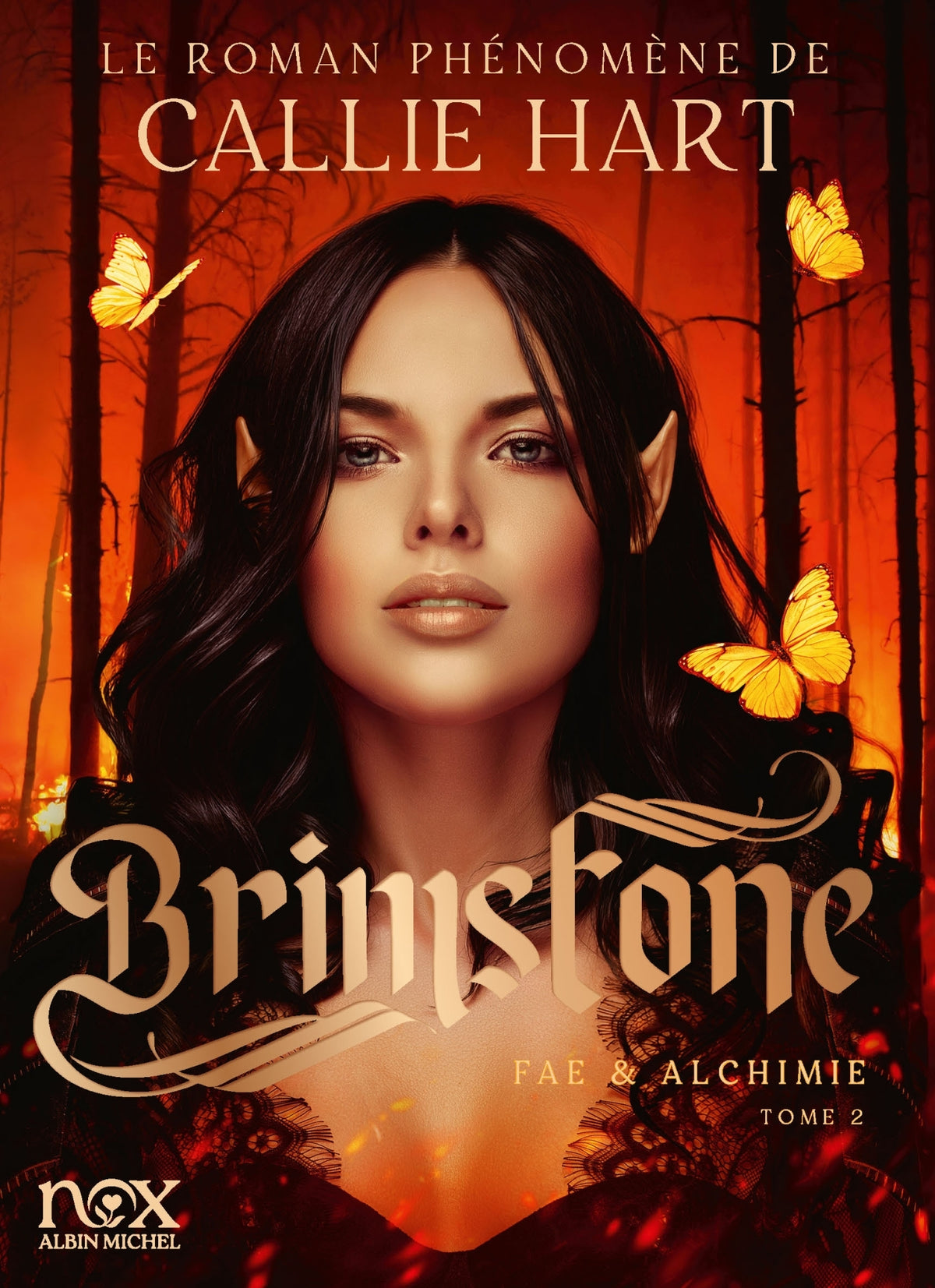 Quicksilver - Fae & Alchemy - tome 2 - Brimstone (version française)