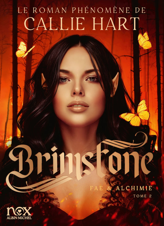 Quicksilver - Fae & Alchemy - tome 2 - Brimstone (version française)