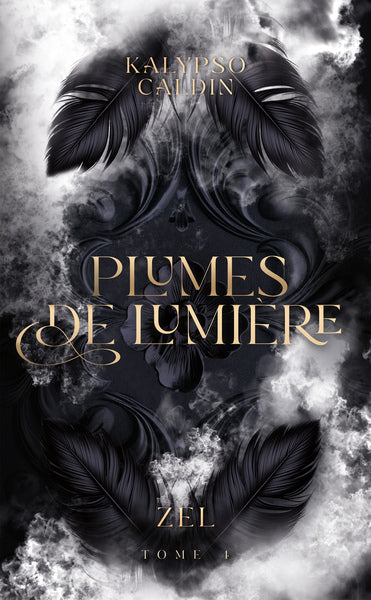 Plumes de lumière - Zel - tome 4