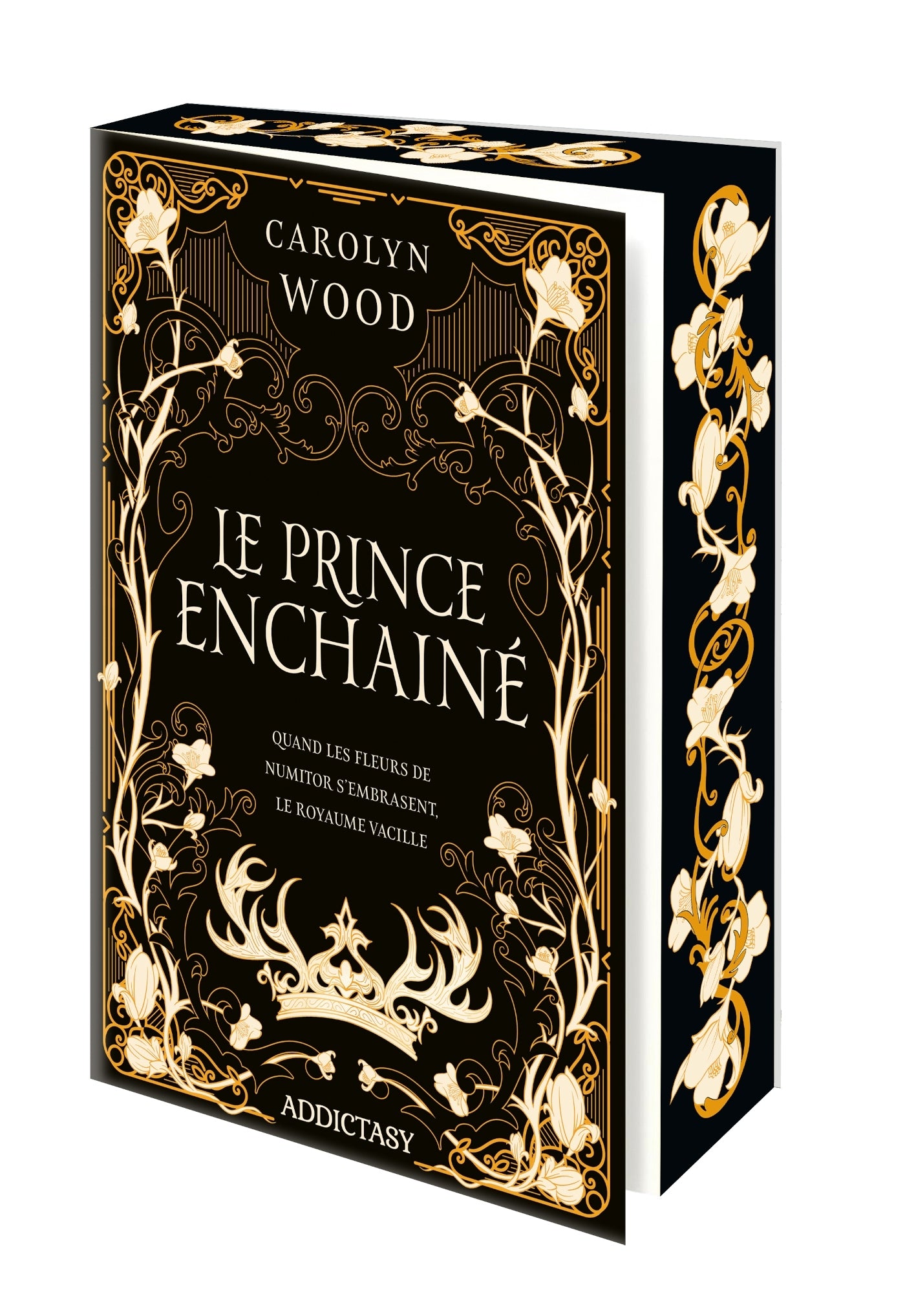 Le Prince enchaîné